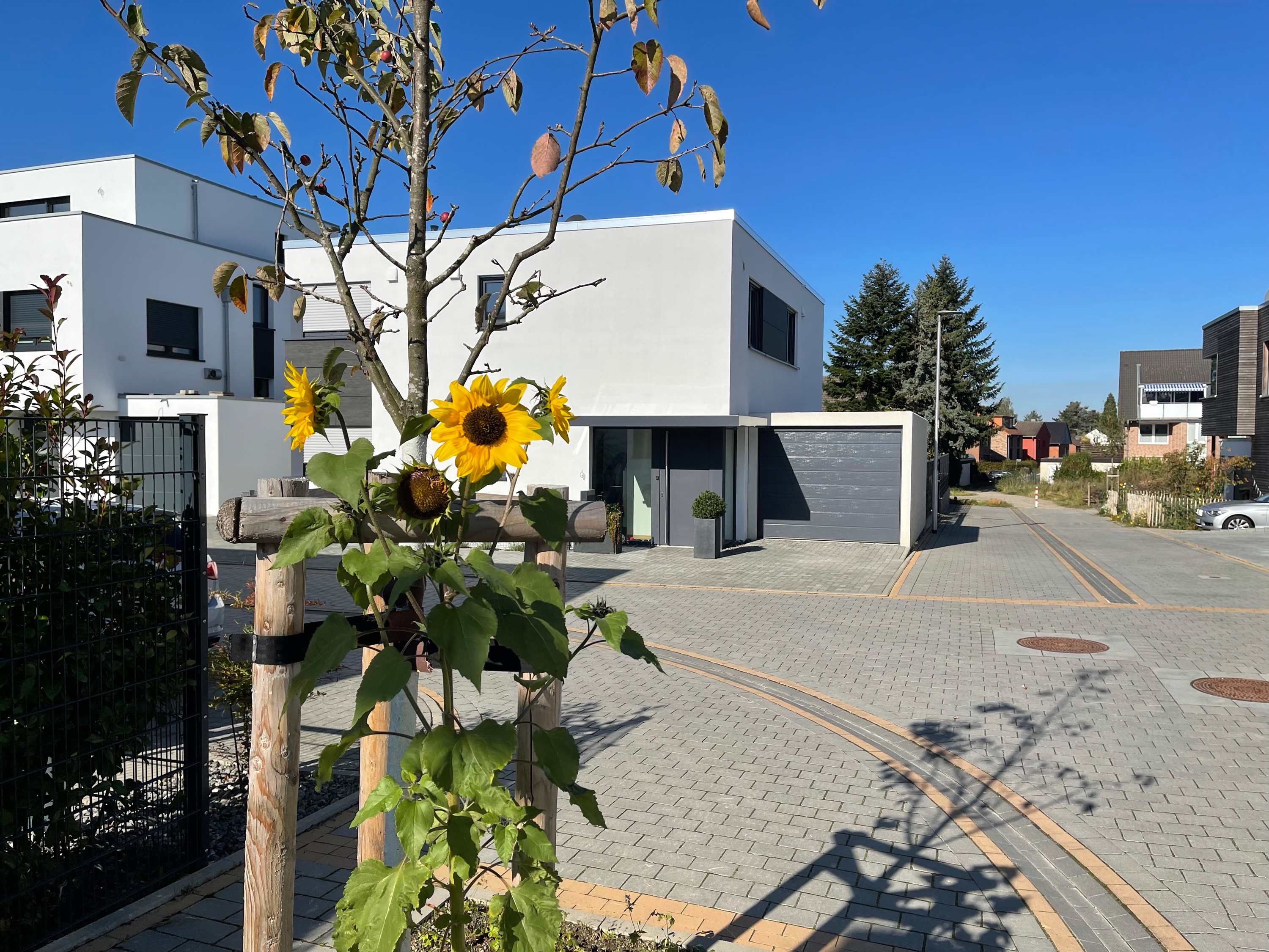 Baugebiet Kämpchenstraße